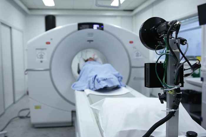 Cancer cells, cells, scan, electron microscope scan, technology ... Health Technology